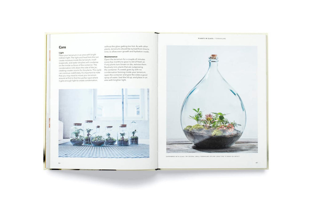 How to Plant a Room and Grow a Happy Home