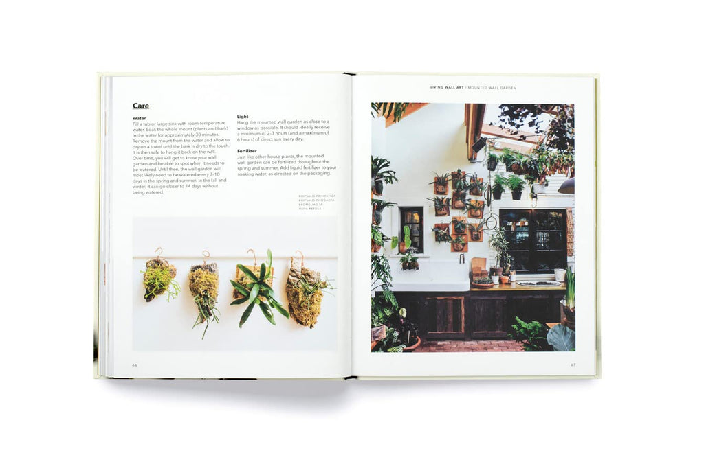 How to Plant a Room and Grow a Happy Home