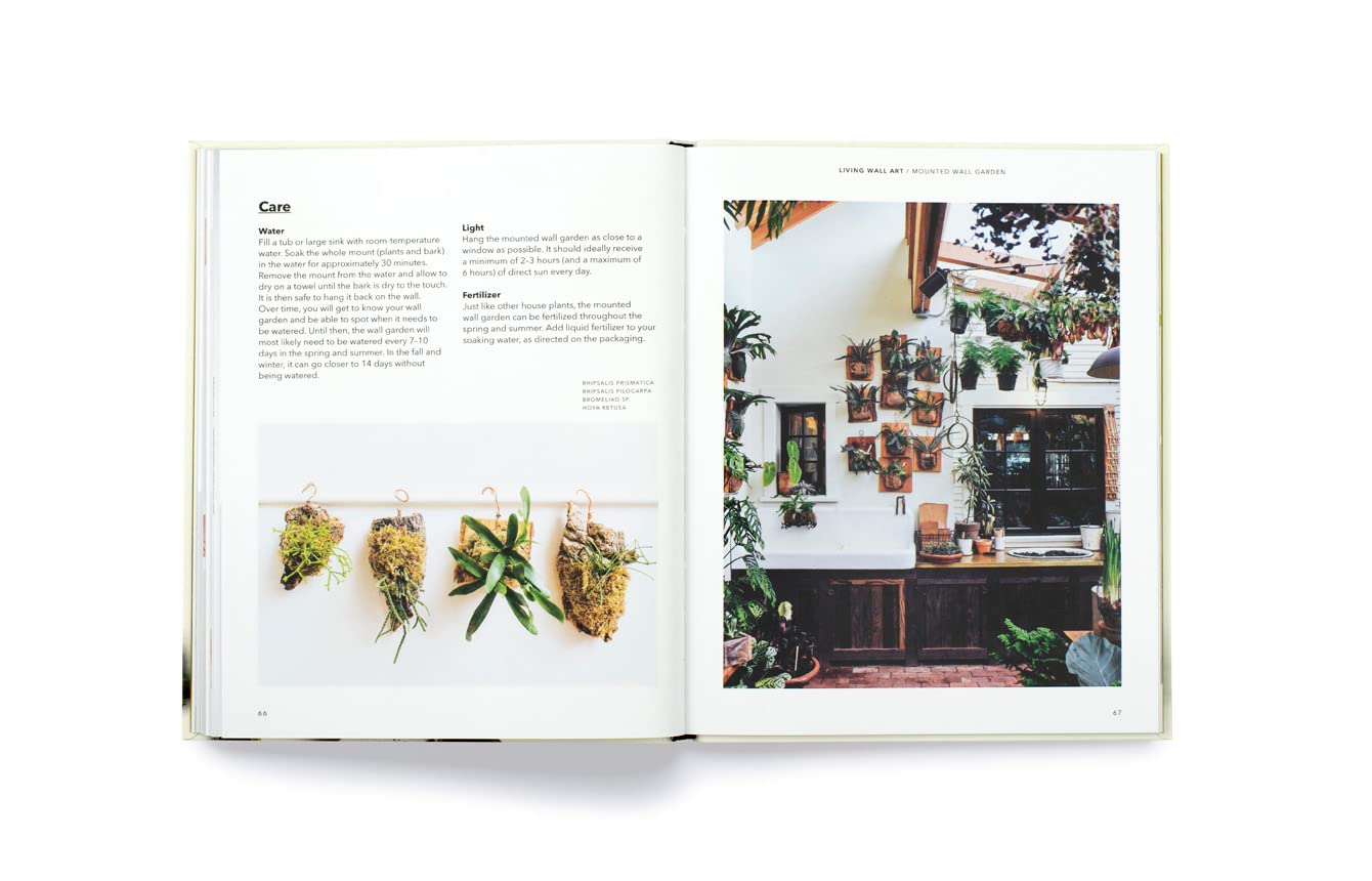 How to Plant a Room and Grow a Happy Home