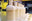 Cult + King: CreamPop Conditioning Shampoo