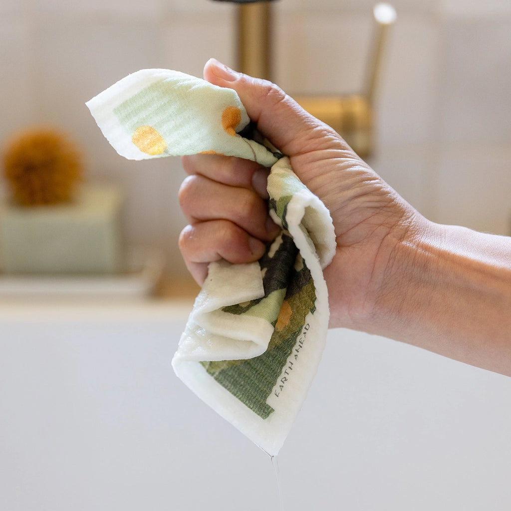Swedish Dish Cloth - Earth Ahead
