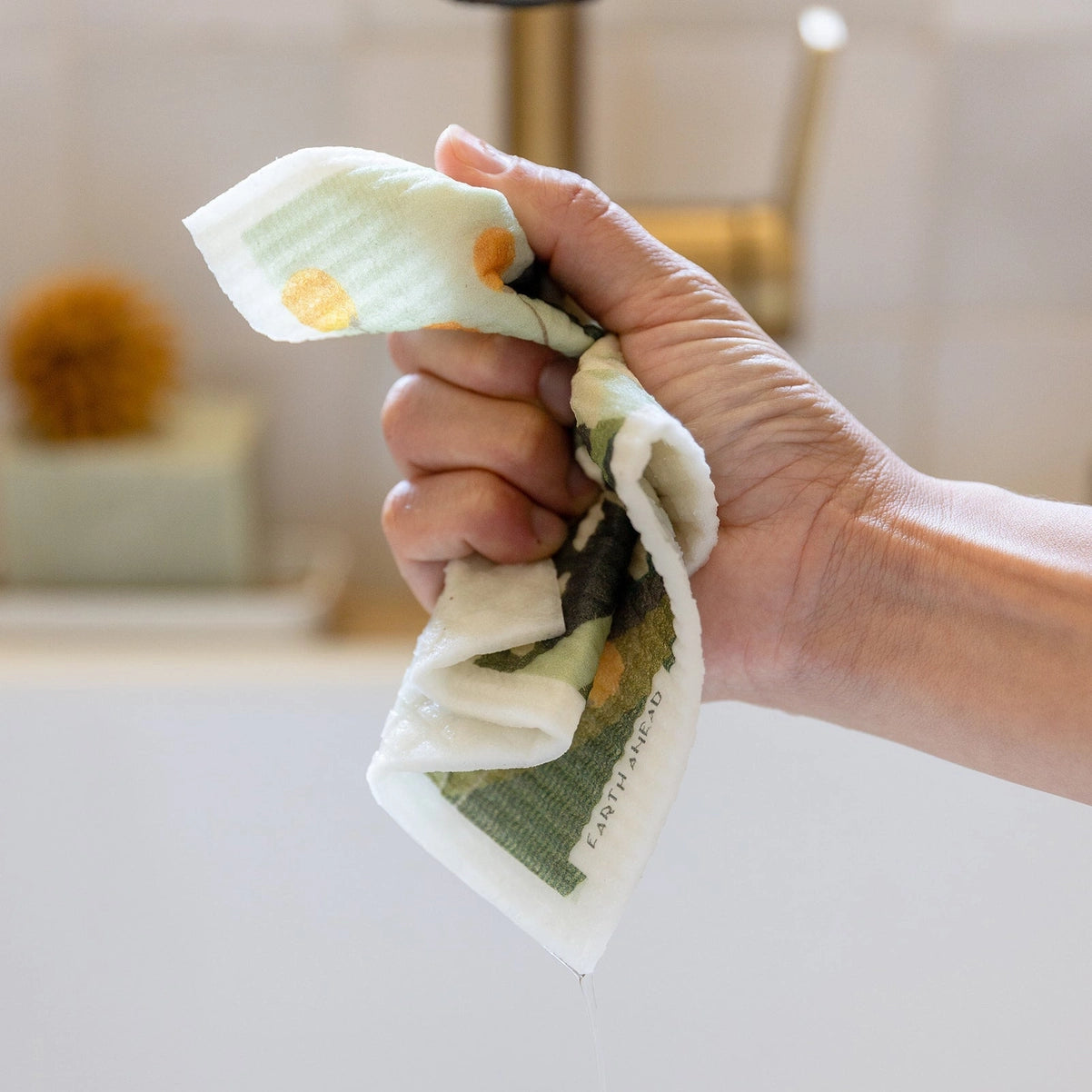 Swedish Dish Cloth - Earth Ahead