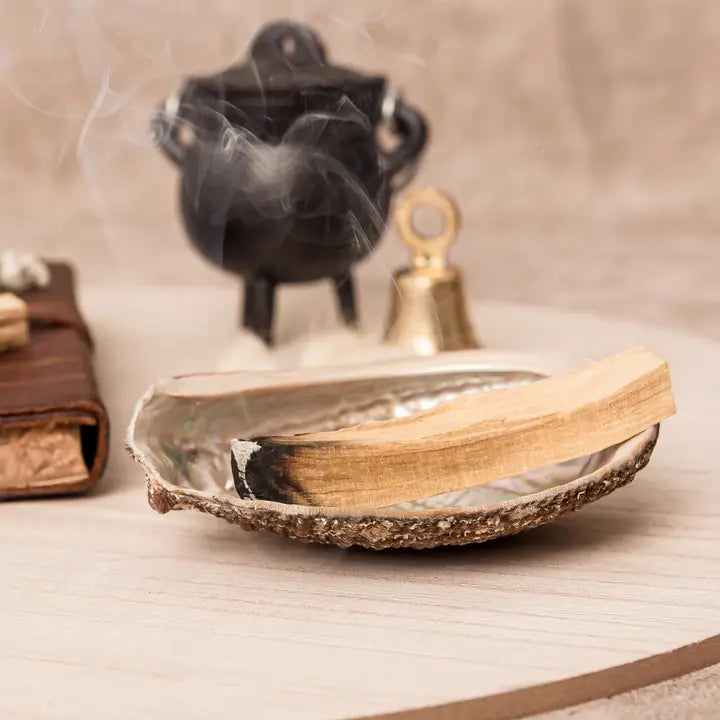 Incense Shell Bowls