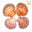 Incense Shell Bowls