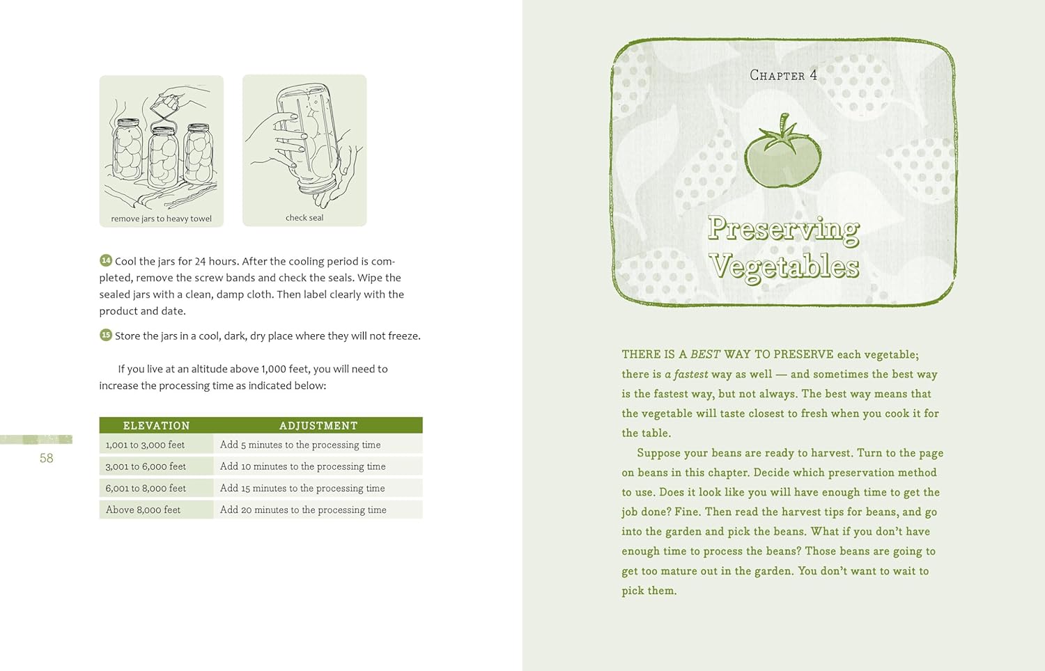 The Beginner's Guide to Preserving Food at Home