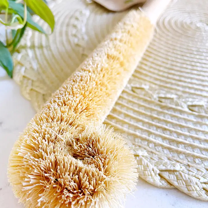 Coconut Bottle Brush (MME)