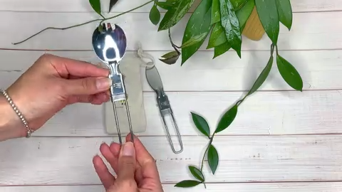 Foldable Stainless Cutlery Set