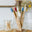 Toothbrush - Kids Colors