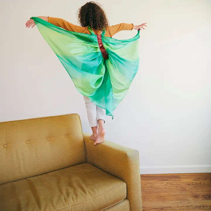 Silk Fairy Wings