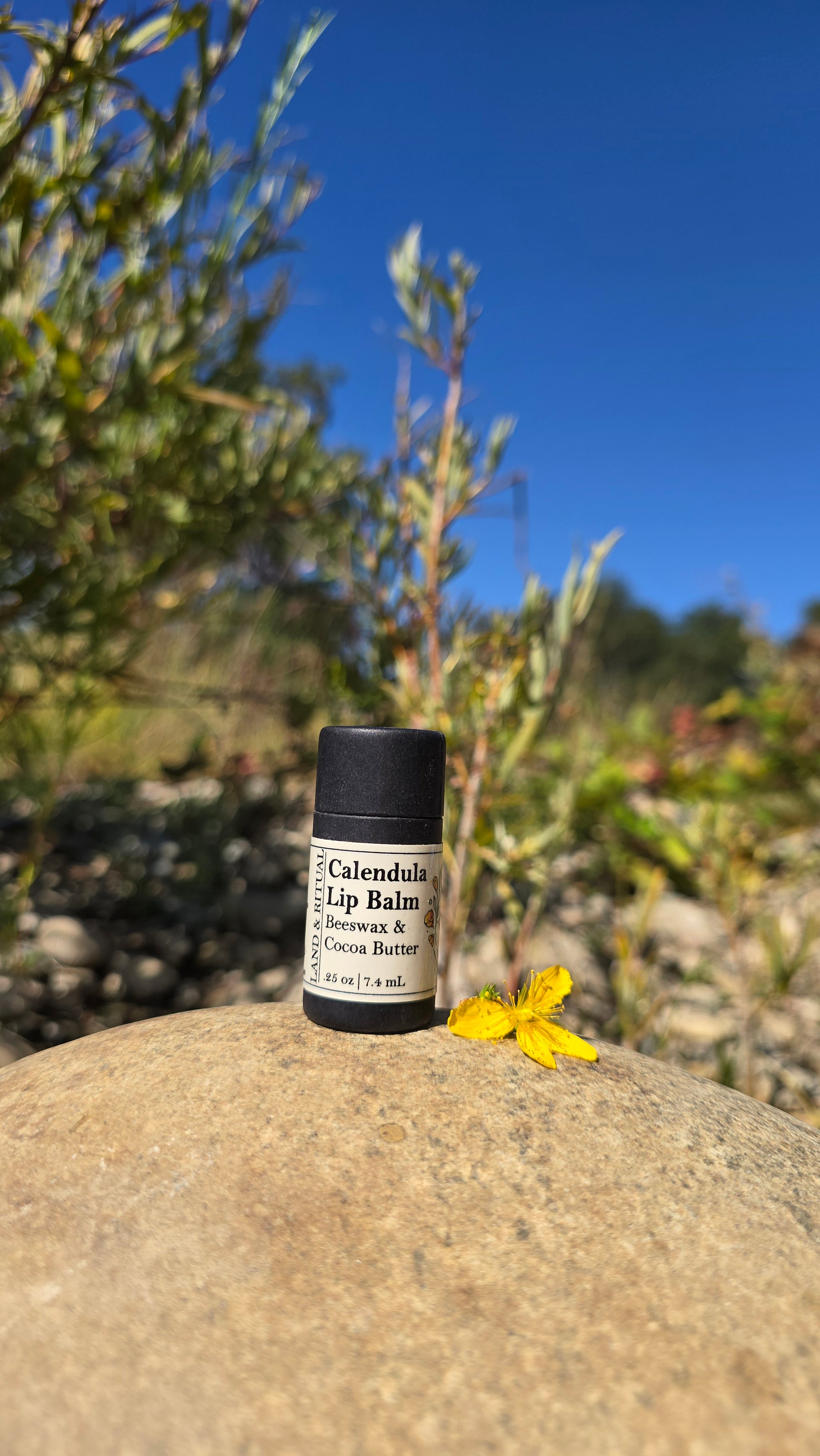 Land & Ritual Calendula Lip Balm