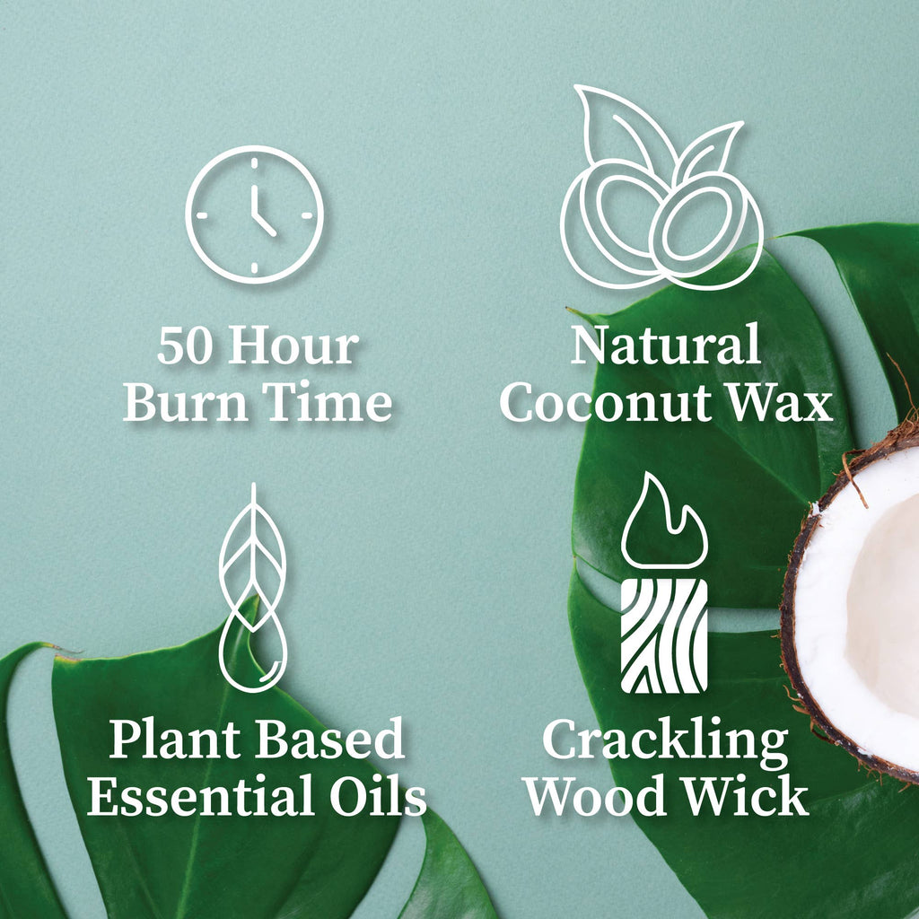 Wood Wick Candle (7.2oz)