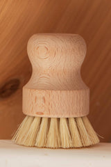 CASA AGAVE® Dish Brush White Teakwood - No Tox Life