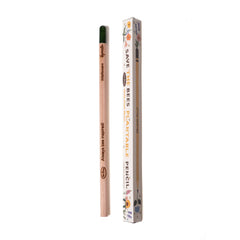 Plantable Pencils – Eco-Friendly Gift