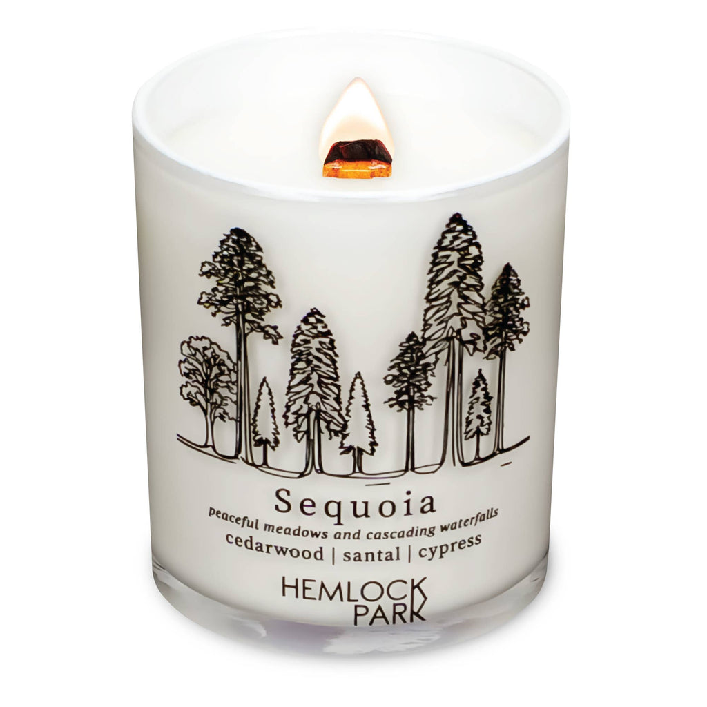 Passport Travel Inspired Candle (7.2 oz)