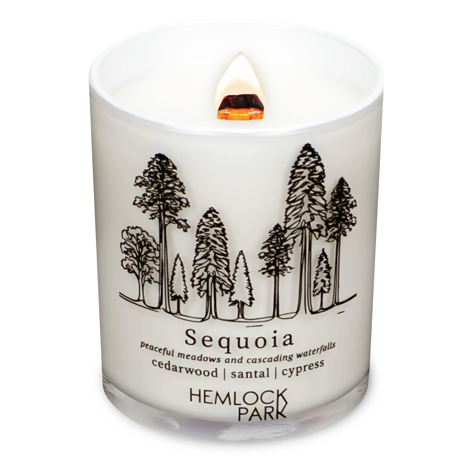 Passport Travel Inspired Candle (7.2 oz)