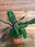Houseplants