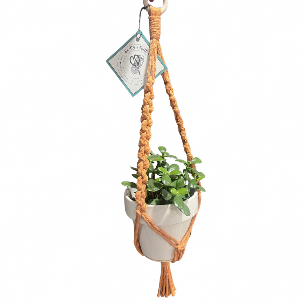 Knotty Macrame Plant Hanger