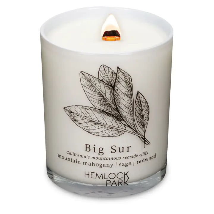 Passport Travel Inspired Candle (7.2 oz)