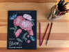 Sunshine Studios Coloring Book