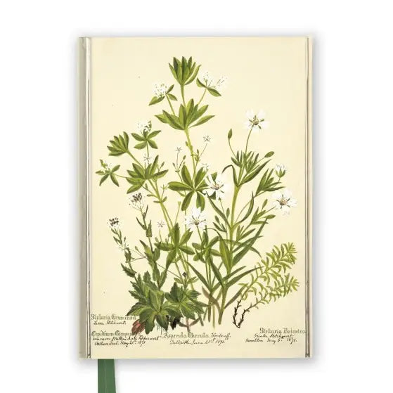 Hardcover Lined Journals – Nudge Eco Store