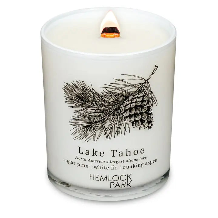 Passport Travel Inspired Candle (7.2 oz)