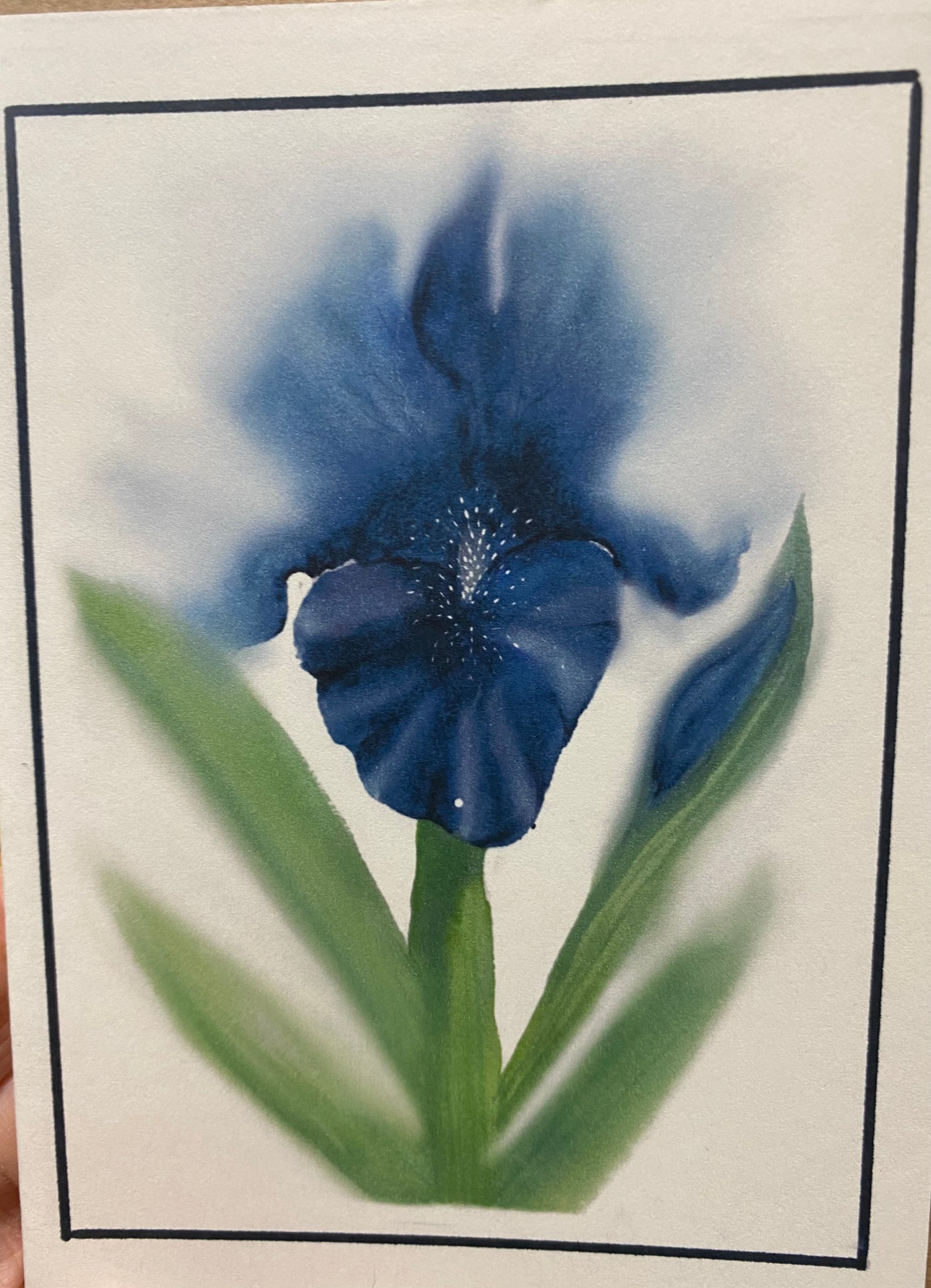Cards - Floral by Mandie Gibson