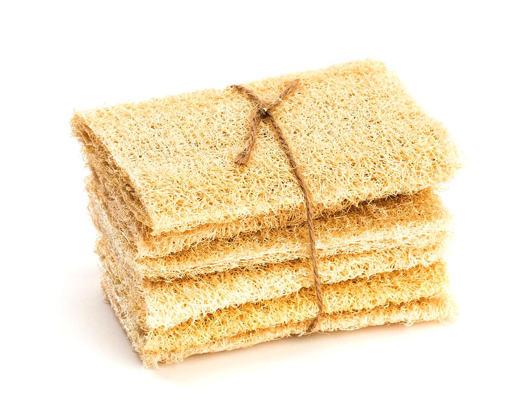 Loofah Scrubber