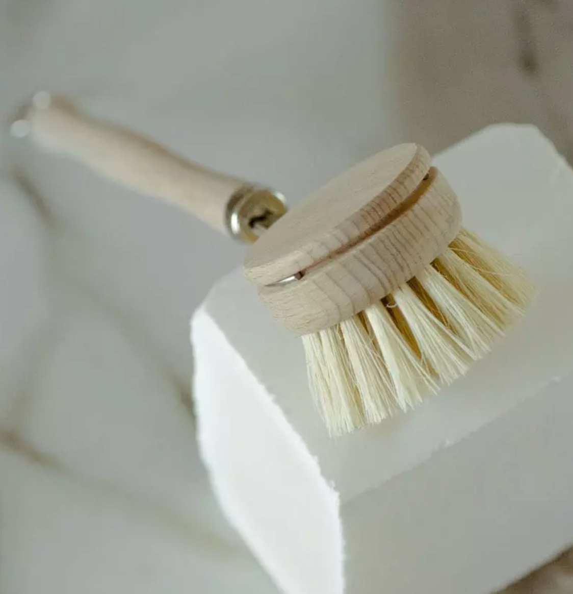 Dish Brush with Replaceable Head - Wooden