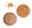 Elate - Unify Powder Foundation