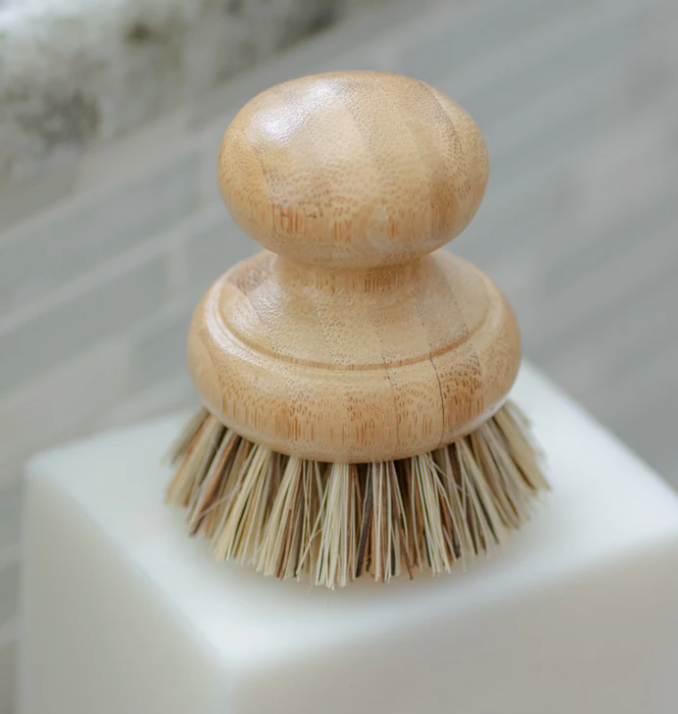 Dish Brush (Short Handle)