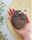 Pumice Stone