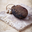 Pumice Stone
