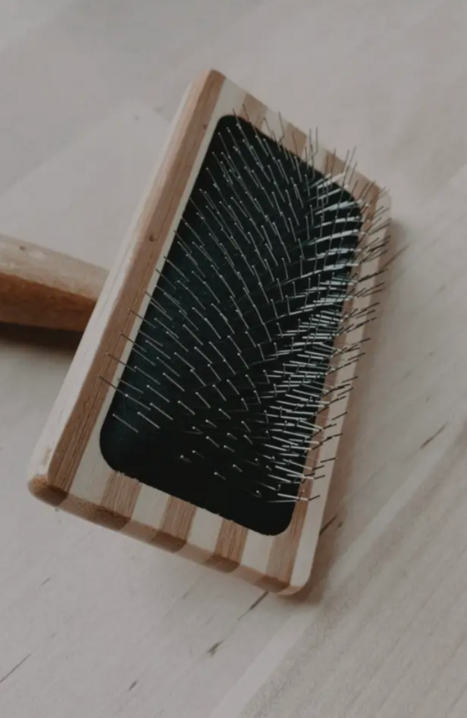 Cat Brush