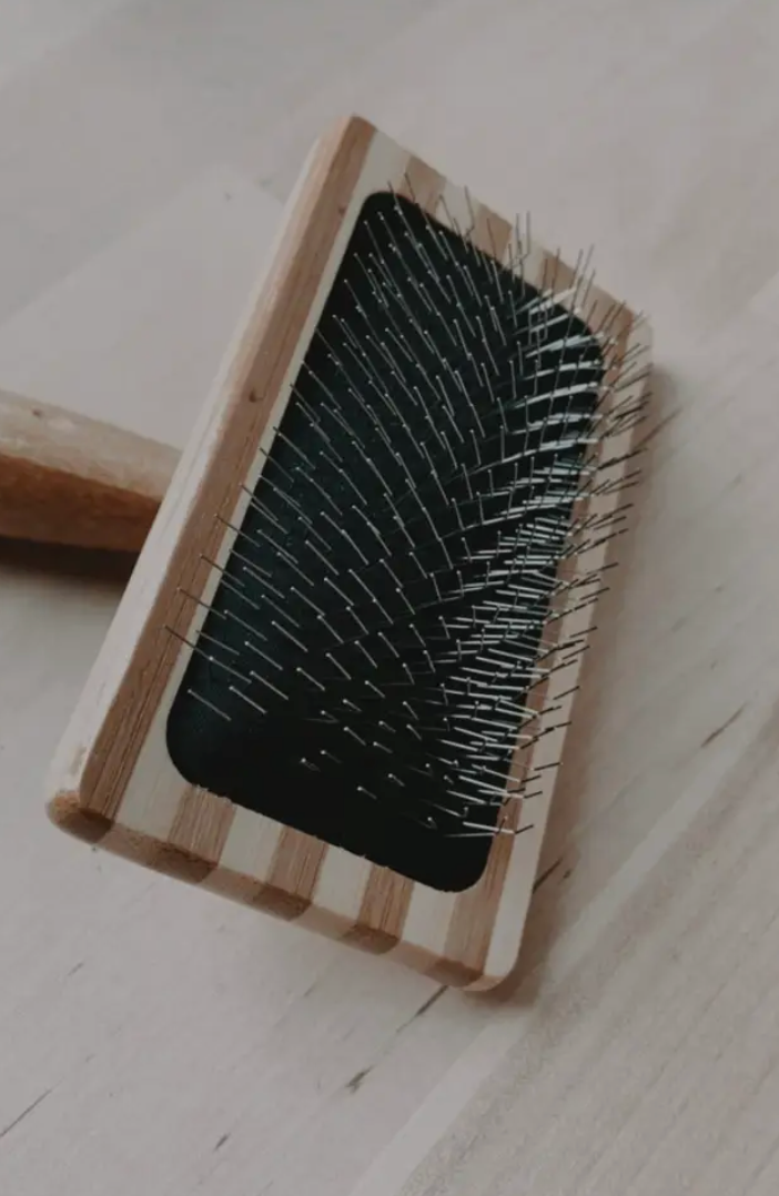 Cat Brush