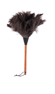 Ostrich Feather Duster