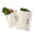 Vegetable Crisper Bag